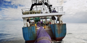 Os limites de pesca da UE para 2016 confirmam a necessidade de medidas mais concretas por parte dos ministros das pescas