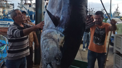 Pequeno atuneiro ganha “sorte grande” a poucos metros da costa da Madeira