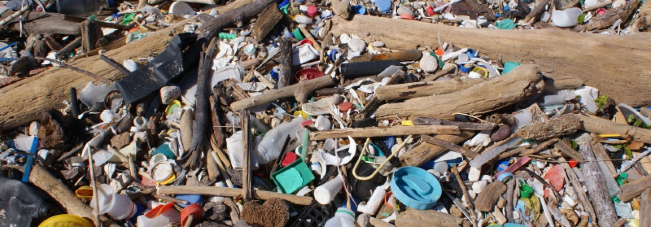 Esferovite, garrafas, paletes e sacos. Lixo nas águas portuguesas preocupa investigadores