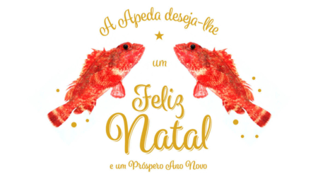 A APEDA e os seus Associados desejam-lhe as Boas Festas