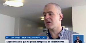Falta investimento na aquacultura nos Açores (vídeo)