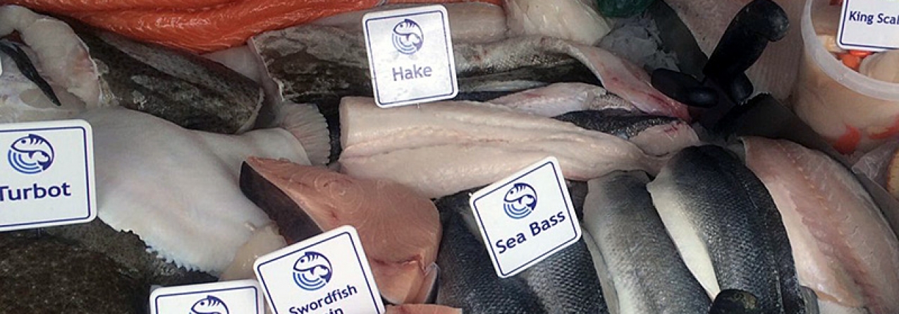 A globalização do peixe: os mares ficam vazios e as peixarias enchem