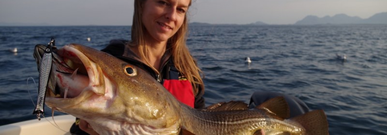 Noruega promove no Porto bacalhau fresco sazonal ‘skrei’