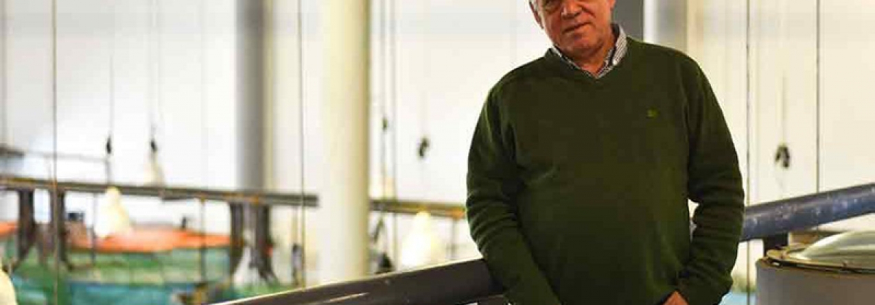 Sardinha de aquacultura será mais-valia para a indústria conserveira