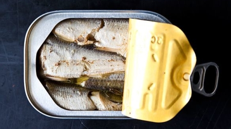 Operação da Interpol apreende mais de 300 mil latas de conserva de peixe em Portugal