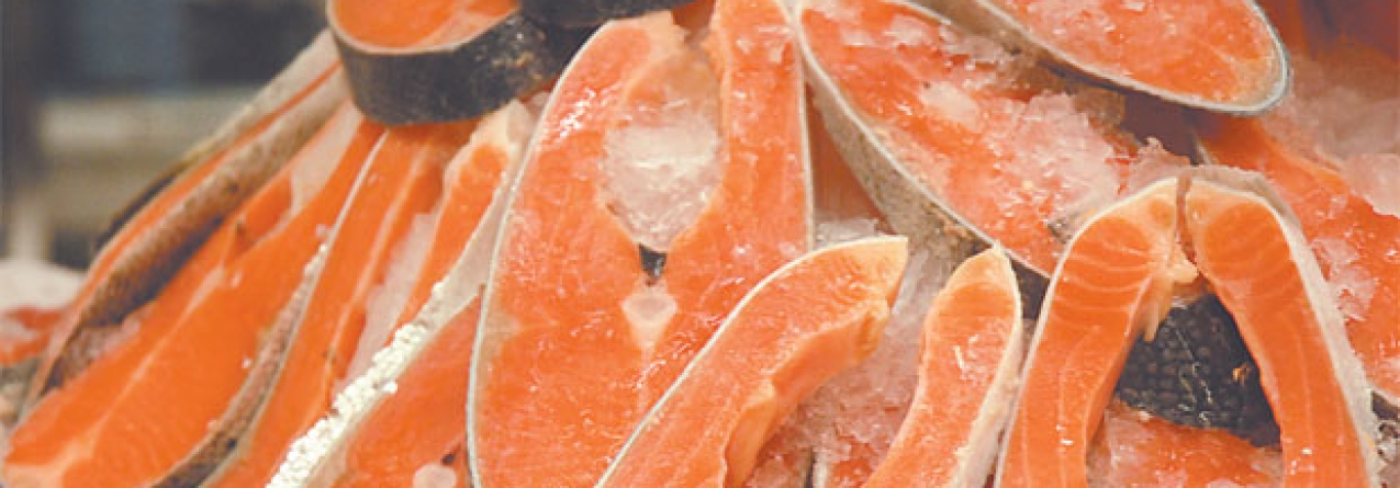 No mercado continental o salmão é vendido a 8 euros e nos Açores os preços estão entre 16 e 18 euros