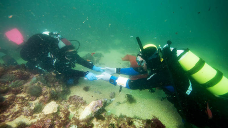 Dois cepos de âncora romana em chumbo “salvos” do fundo do mar em Lagos