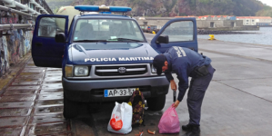 Ilha do Faial // Polícia Maritima interceta apanhador de lapas em período de defeso