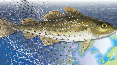 Biblioteca Pública João José da Graça, na Horta, promove conferência sobre “A Pesca do Bacalhau na Atualidade”
