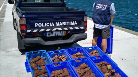 Polícia Marítima colabora com a Inspeção Regional das Pescas dos Açores e apreende 72 Kg de pescado
