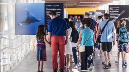 Oceanário apresenta exposição “Conservação”