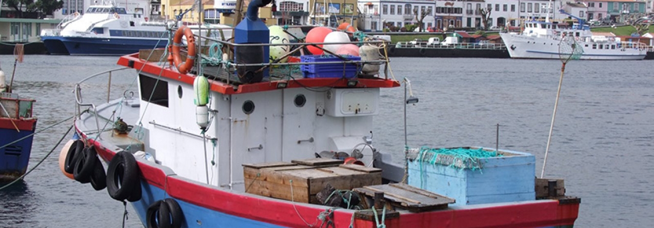 Barco de Pesca encalha na ilha do Faial (vídeo)