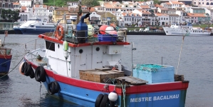 Barco de Pesca encalha na ilha do Faial (vídeo)