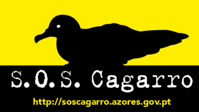 Campanha SOS Cagarro prolongada até 22 de novembro