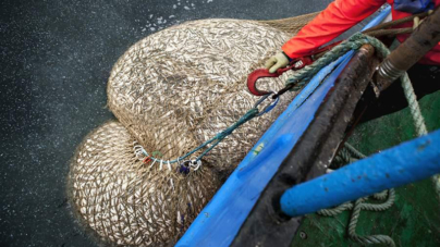 Ministros da ue fazem progressos mas teimam em adiar o fim da sobrepesca