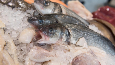 Cinco dicas para escolher bem o peixe