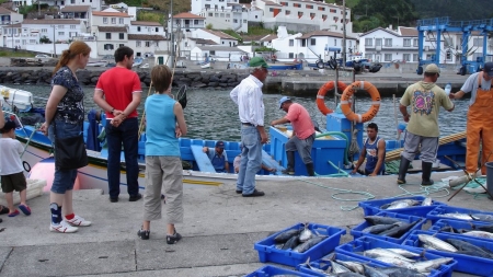 Campanha ‘Pesca Segura’ arrancou hoje no porto da Ribeira Quente, em São Miguel