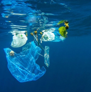 Gaia vai ter um centro de reciclagem de lixo marinho