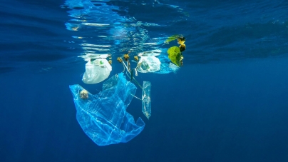 Gaia vai ter um centro de reciclagem de lixo marinho