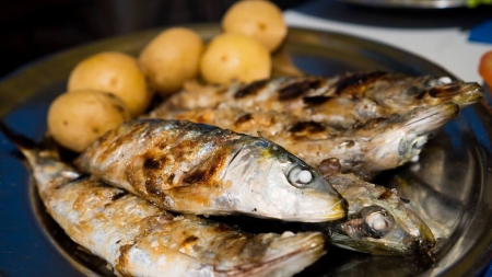 Comer peixe pode reduzir risco de esclerose múltipla