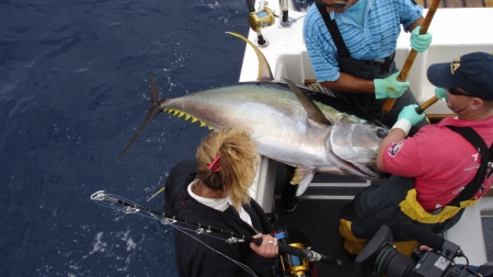 Projeto Tuna Route promove a criação de Rota Internacional do Atum