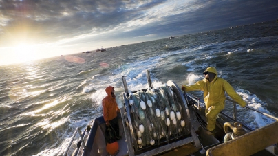 Mais de metade da pesca em alto mar vive de subsídios