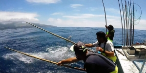 Diretor Regional das Pescas dos Açores alerta para importância de garantir uma pescaria sustentável de atum
