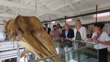 Fábrica da Baleia de Porto Pim, na Horta, valoriza o património e representa um contributo diferenciador para o turismo regional
