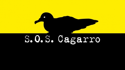 ‘SOS Cagarro Móvel’ e galardão ‘Cagarro D’Ouro’ são novidades na campanha de salvamento da ave marinha mais emblemática dos Açores