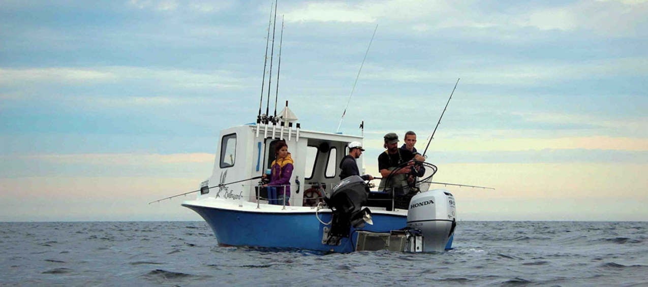 Federação das Pescas dos Açores quer ser parceira na discussão da legislação que regula a pesca lúdica