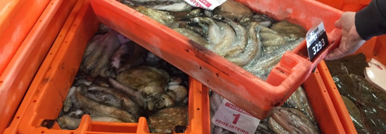 Em 2018 o valor do pescado comercializado nas lotas do continente português subiu 4,9% atingindo 205 milhões de euros