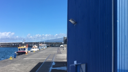 Novo horário da lota e entreposto do Faial