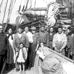 O bacalhau e os portugueses: uma relação com séculos