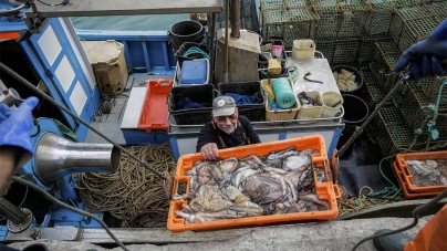 Covid-19 // Pescadores à beira de um ataque de nervos