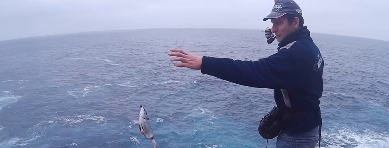 Covid-19 // Governo dos Açores autoriza pesca comercial apeada durante os próximos três meses