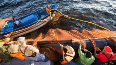 Covid-19 // Quando «o risco já não compensa»: a pesca em tempos de pandemia