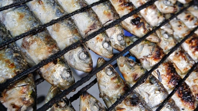 Assem sardinhas na varanda de casa. O apelo dos pescadores