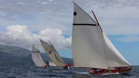 Governo dos Açores apoia património baleeiro em mais de 124 mil euros