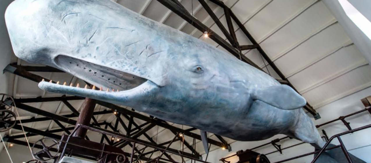 Museu da Fábrica da Baleia de Porto Pim reabre no dia 25 de maio