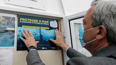 Governo dos Açores vai apoiar abate de redes de emalhar
