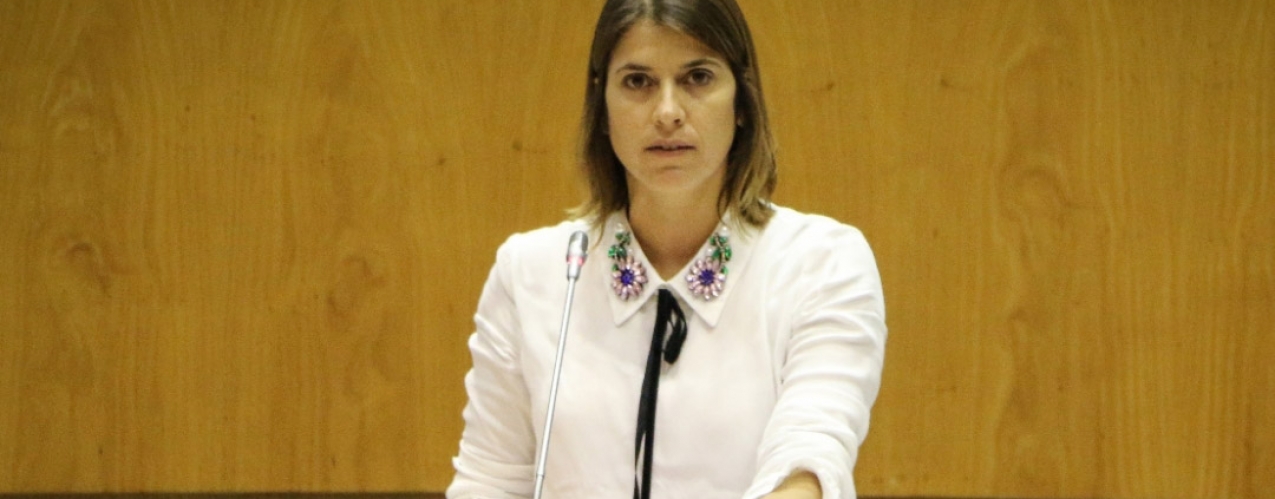 CDS Açores sugere reforço de ligações marítimas para transporte de passageiros e viaturas