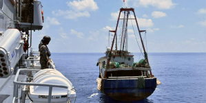 Parlamento Europeu aprova medidas de combate à pesca ilegal