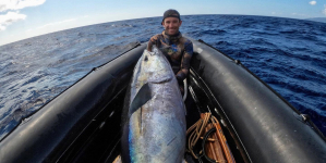 Picoense Paulo Afonso bate recorde europeu com atum de 115 quilos