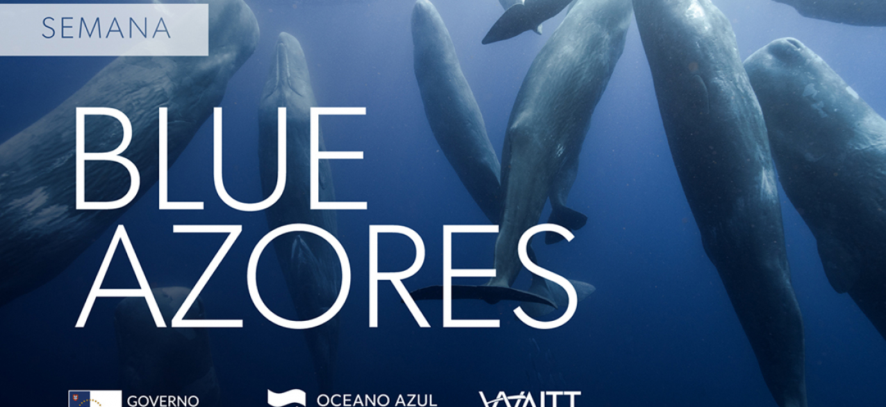 Blue Azores reforça compromisso de utilização sustentável do mar dos Açores