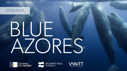 Blue Azores reforça compromisso de utilização sustentável do mar dos Açores