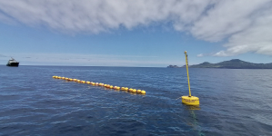 Ancorados dois agregadores para atum ao largo das ilhas Faial e Pico
