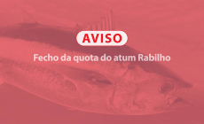 Fecho da quota do atum Rabilho