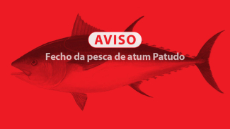 Fecho da pesca de Atum Patudo