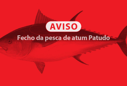 Fecho da pesca de Atum Patudo