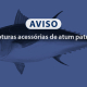 Capturas acessórias de atum patudo